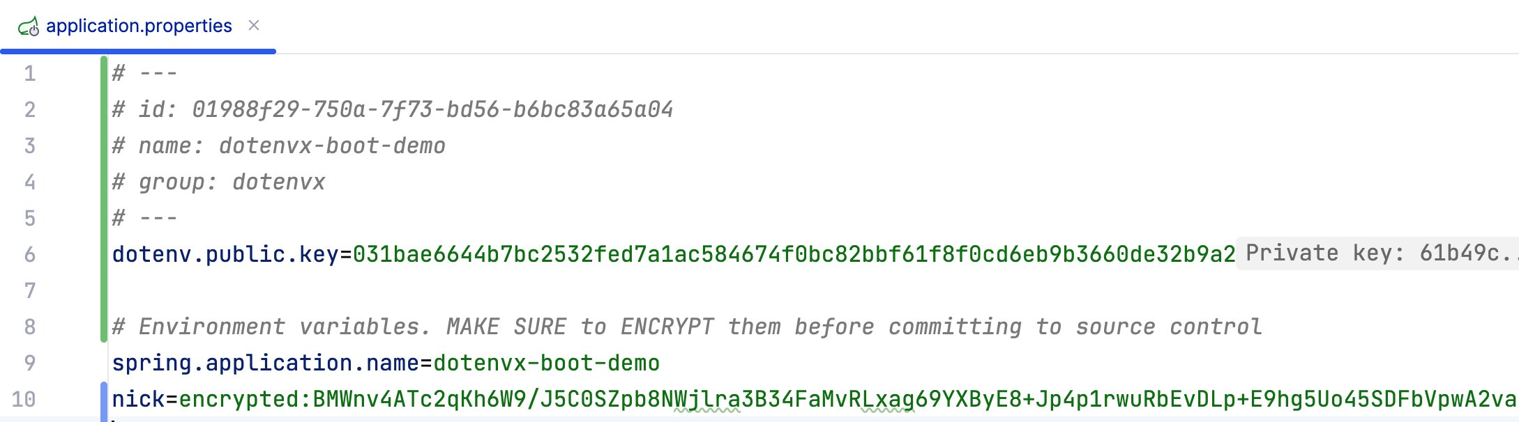 Spring Boot Config