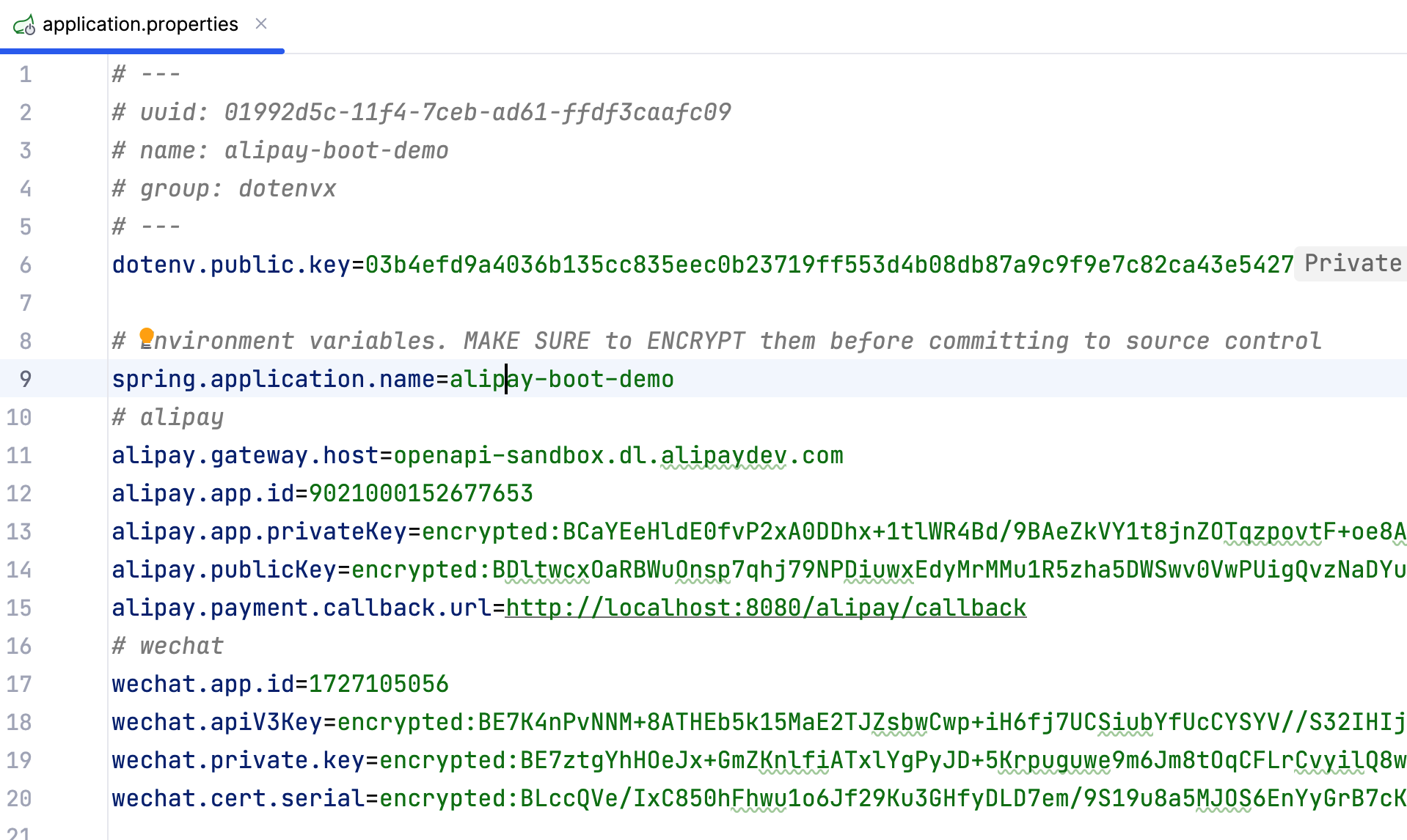 Payment Config